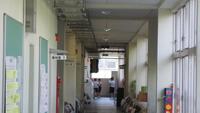 IMG_6353.JPG