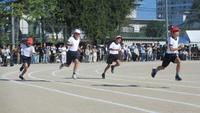 IMG_6463.JPG