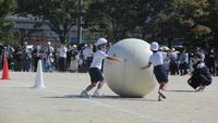 IMG_6612.JPG
