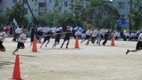 IMG_6745.JPG