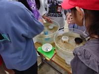 DSC02746.JPG