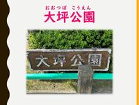 大坪公園.jpg