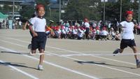 IMG_6512.JPG
