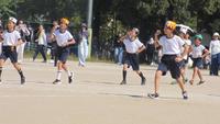 IMG_6619.JPG