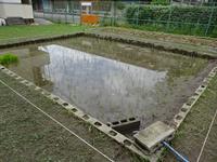 DSC03444.JPG