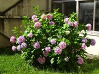 DSC09022.JPG