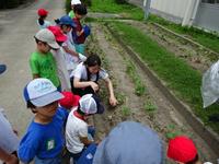DSC03416.JPG