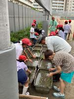 IMG_0178.jpeg