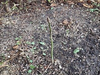 2025-12-04 08.48.18.jpg