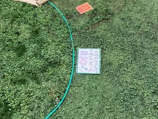 2025-12-04 16.45.06.jpg