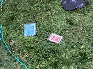 2025-12-04 16.45.16.jpg