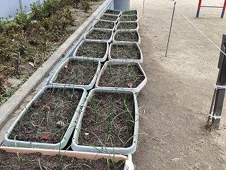 2025-12-09 13.30.13.jpg