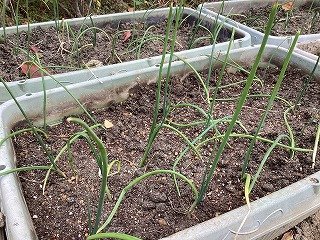 2025-12-09 13.30.21.jpg