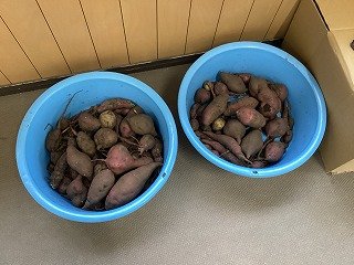 2025-12-09 13.31.05.jpg