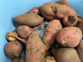 2025-12-09 13.31.26.jpg