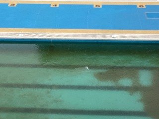 2026-01-15 08.54.42.jpg