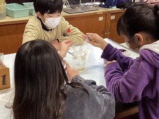 2026-01-29 14.01.25.jpg