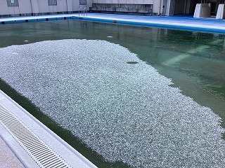 2026-02-09 08.51.15.jpg