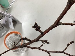 2026-02-20 16.35.16.jpg