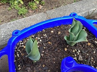 2026-03-02 09.55.35.jpg