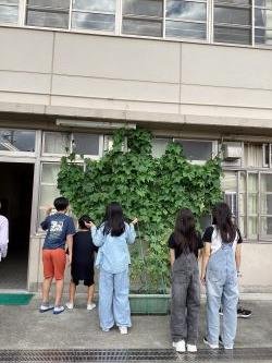 saibai _0543.jpg