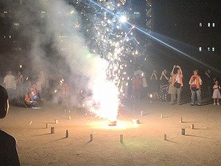 IMG_2990.jpg