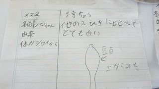 P1120490.jpg