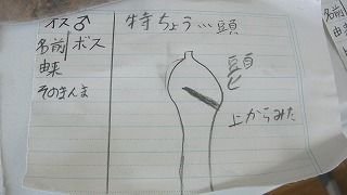 P1120491.jpg