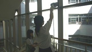 P1150124.jpg