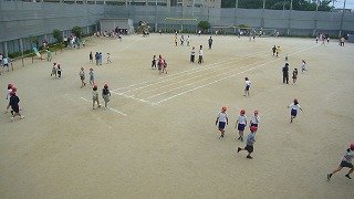 P1150383.jpg