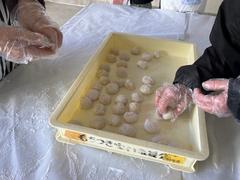 IMG_0262.jpg