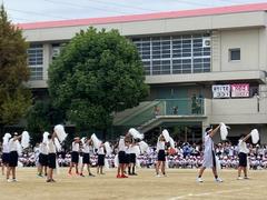 IMG_1849.jpg
