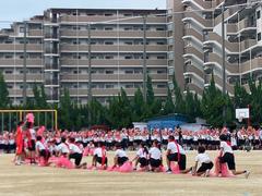 IMG_1847.jpg
