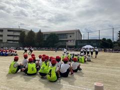 IMG_1846.jpg