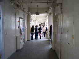 11.2学校公開廊下.JPG