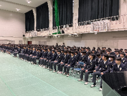 Untitled design - 2.png