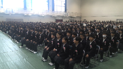 Untitled design - 2.png