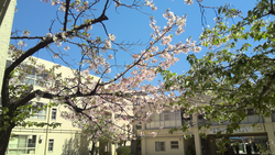 Untitled design - 4.png