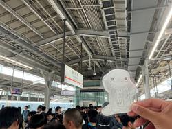 IMG_0207.jpeg