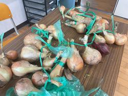 IMG_0398.jpeg
