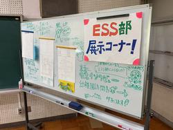 IMG_0634.jpeg