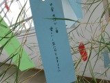 100_0275.jpg