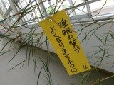 100_0276.jpg