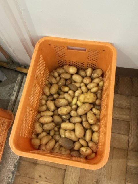 じゃがいも.jpeg