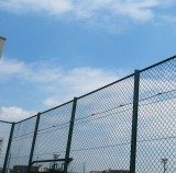 IMG_2286.jpg