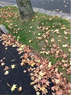 IMG_1853.jpeg