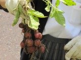 IMG_2228.jpg