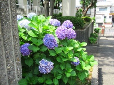IMG_2290.jpg