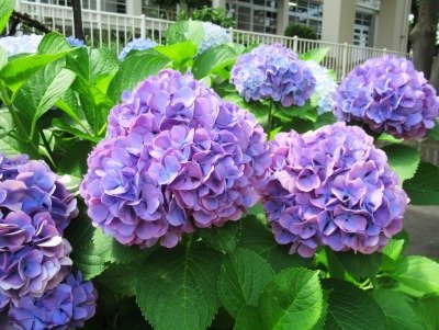 IMG_2291.jpg