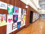 IMG_2854.jpg